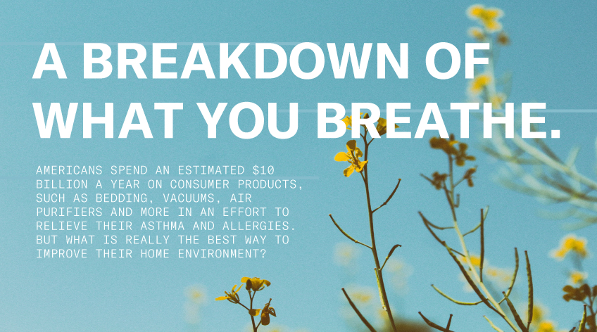 Looking to improve your home’s air quality and safety without huge big expense?